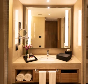 Standard room Bathroom